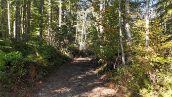 0 X Alder Cutoff Road E, Eatonville, WA 98328