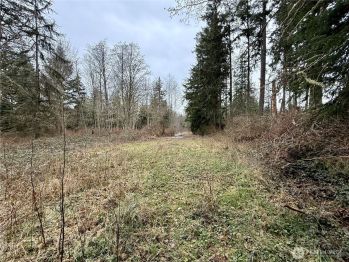 0 Big Sky Lane , Camano Island, WA 98282