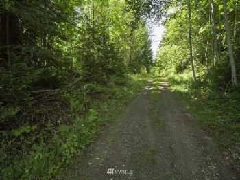 99 N Bagley Creek Road , Port Angeles, WA 98362