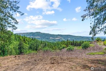 1899 Mt Pleasant Road , Kelso, WA 98626