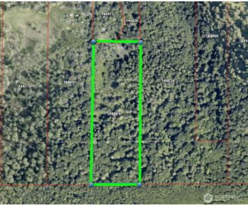 7019 Mount Baker Highway , Deming, WA 98244