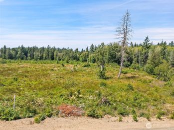 0 TR3 SE Wellswood Way , Shelton, WA 98584