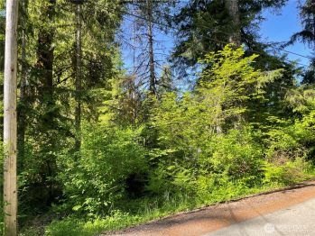 195 Paradise Drive , Eatonville, WA 98328