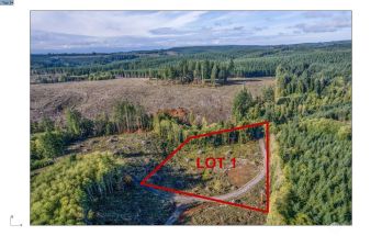 154 Deer Fern Lane , Longview, WA 98632
