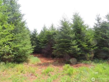 0 Lot E Mill Creek Lane , Longview, WA 98632
