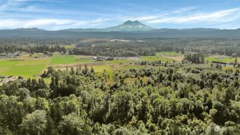 31208 Lebor Devore Road E, Eatonville, WA 98328