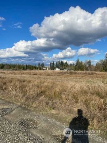 388 Toledo-Vader Road , Toledo, WA 98591
