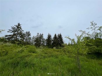 0 S Dry Creek Road , Port Angeles, WA 98362