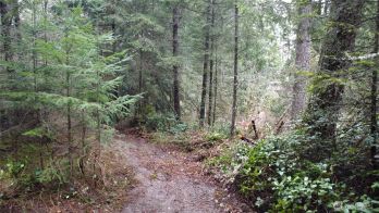 21621 S Prairie Road E, Bonney Lake, WA 98391