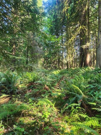 0 XXX S Lake Roesiger Rd Lots 20,21&22 , Snohomish, WA 98290