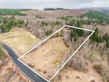 125 NW HILL CREEK Road , Toledo, WA 98591