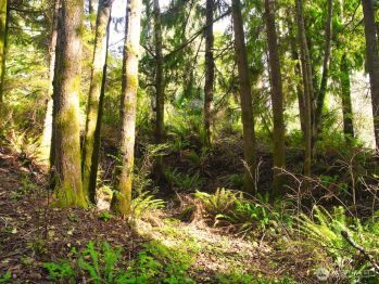 0 Summit Avenue , Hoquiam, WA 98550