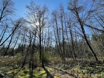 348 Evergreen Park Road , Camano Island, WA 98282