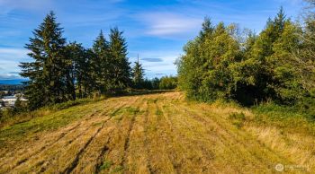 0 Salzer Creek Drive #Lot 7, Centralia, WA 98531