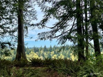 1504 154th Drive NE, Snohomish, WA 98290