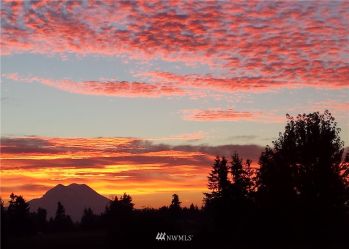 12535 Zeller Road SE, Yelm, WA 98597