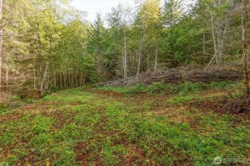 217 Deer Fern Lane , Longview, WA 98632