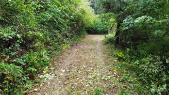22319 N Clear Lake Boulevard SE, Yelm, WA 98597-8971