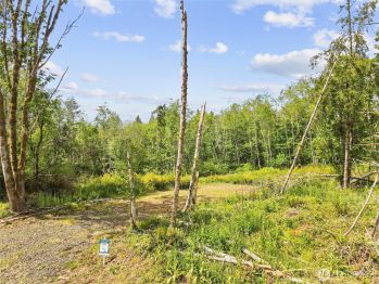 80 E Cascara Cove Lane , Shelton, WA 98584