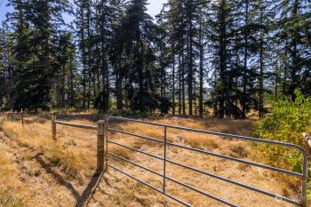 9 Hanstad Road , Camano Island, WA 98282
