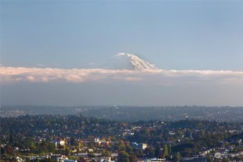 1301 Spring Street #23H, Seattle, WA 98104
