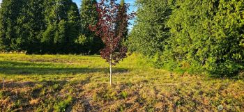 3578 Pennsylvania Street , Longview, WA 98632
