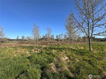 517 Toledo Salmon Creek Road , Toledo, WA 98591