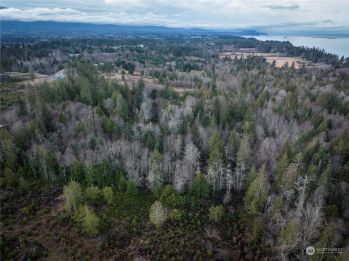 9999 Bobcat Hollow Road , Port Angeles, WA 98362