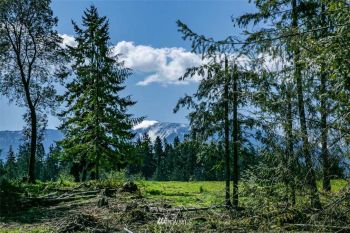 9999 Parcel 3 O'Brien Road , Port Angeles, WA 98362