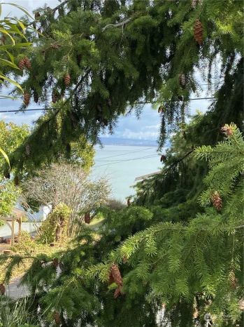 1481 SE Camano Drive , Camano Island, WA 98282
