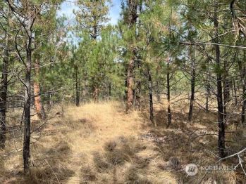 8 Chief Joseph Spur E, Riverside, WA 98849