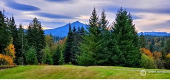20 xx Newberg Road , Snohomish, WA 98290