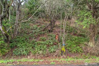 14544 Jura Way , Anacortes, WA 98221