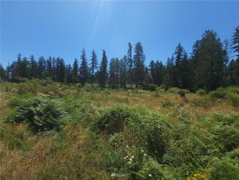15709 Bald Hills Road SE, Yelm, WA 98597