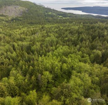 584 Lone Tree (near 586) Drive , Sequim, WA 98382