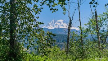 380 Dow Ridge Drive N, Eatonville, WA 98328