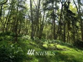0 XXX Wahl Road , Freeland, WA 98249