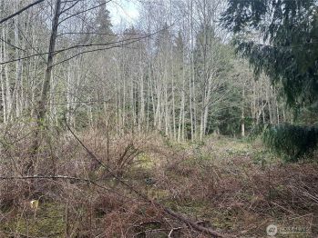 0 11 & 12 Harbor Sands Lane , Freeland, WA 98249