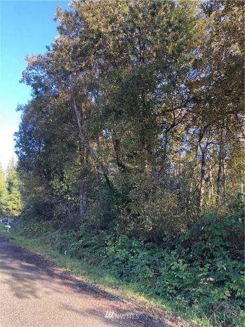 12391 NE Douglas Drive , Kingston, WA 98346