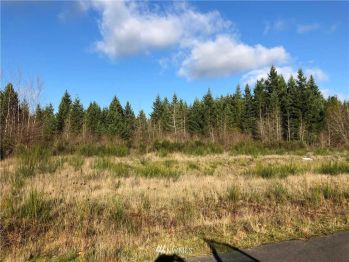 14629 Lindsay Loop SE, Yelm, WA 98597