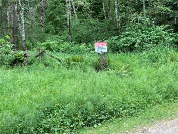 0 Eatonville Elbe Forest Rd E , Eatonville, WA 98328