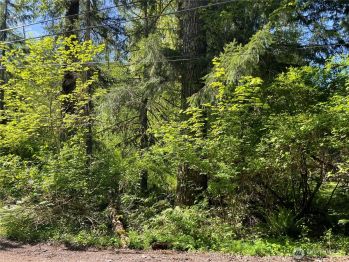 193 Paradise Drive , Eatonville, WA 98328