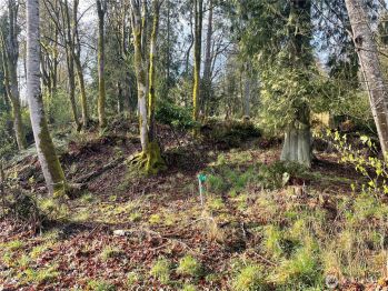 22 Willow Lane , Port Angeles, WA 98362