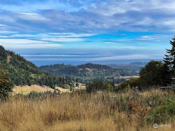 2899 3 Dan Kelly Road , Port Angeles, WA 98362