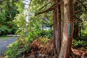 1504 154th Drive W, Snohomish, WA 98290