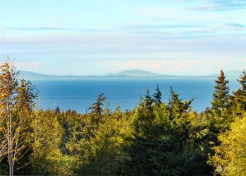 374 Black Bear Trail , Port Angeles, WA 98362