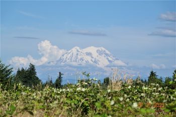 14043 Old Farm Lane SE, Yelm, WA 98597