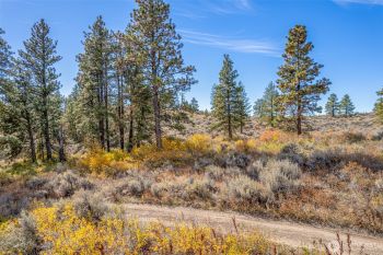 403 Wild Turkey , East Wenatchee, WA 98802