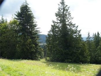 1 Fox Hollow Road , Sequim, WA 98382
