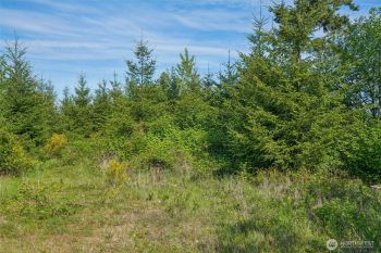 143 Bootjack Lane #Lot 2, Kelso, WA 98626